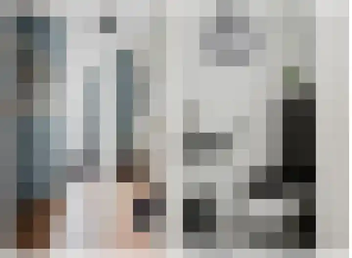 Iepenlaan 6 F Spijkenisse thumbnail 11