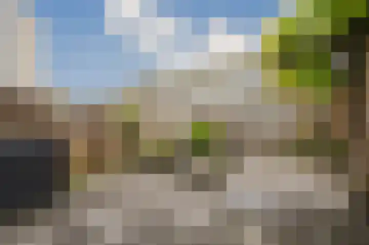 Iepenlaan 6 F Spijkenisse thumbnail 12