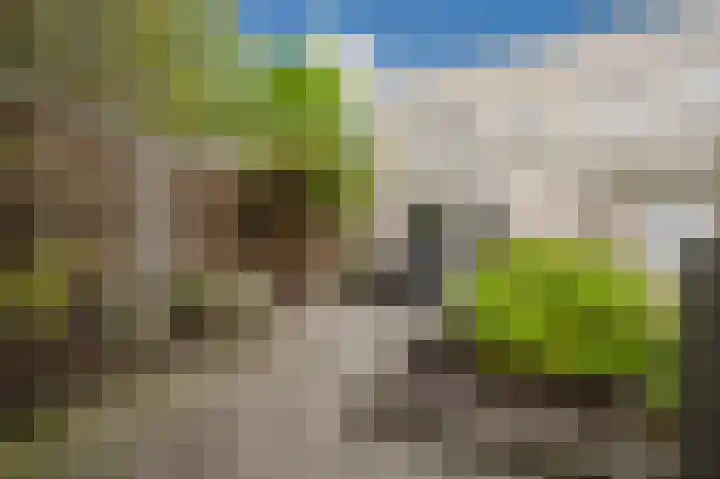 Iepenlaan 6 F Spijkenisse thumbnail 13