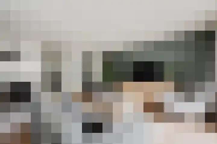 Iepenlaan 6 F Spijkenisse thumbnail 15