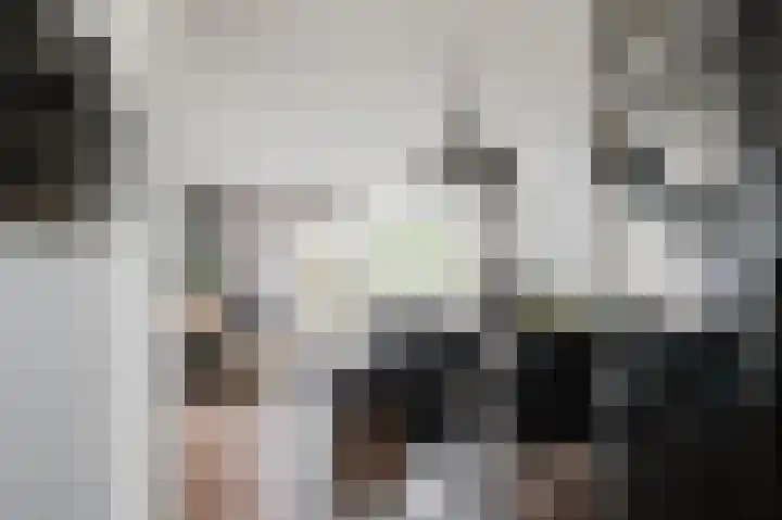 Iepenlaan 6 F Spijkenisse thumbnail 18