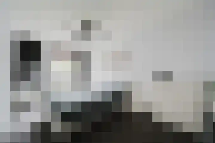Iepenlaan 6 F Spijkenisse thumbnail 20