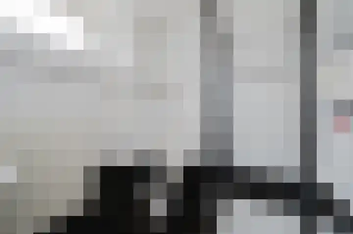 Iepenlaan 6 F Spijkenisse thumbnail 23