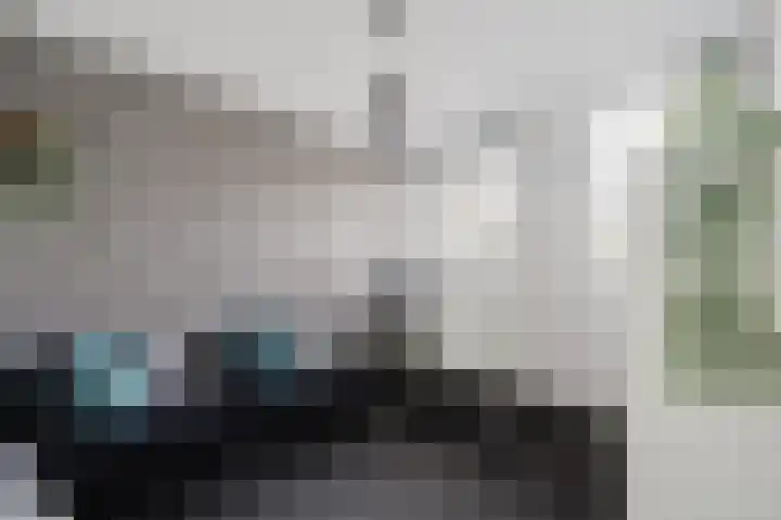 Iepenlaan 6 F Spijkenisse thumbnail 24