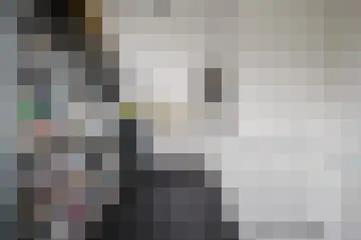 Iepenlaan 6 F Spijkenisse thumbnail 27