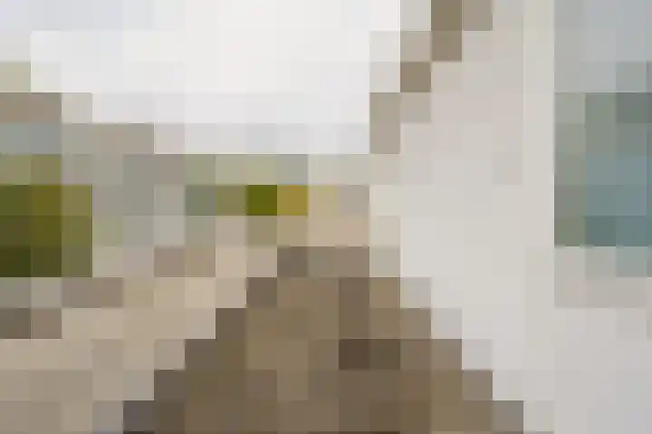 Iepenlaan 6 F Spijkenisse thumbnail 29