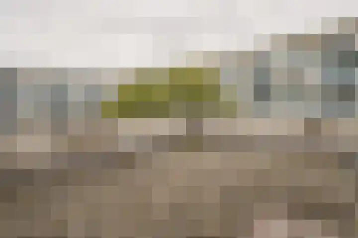 Iepenlaan 6 F Spijkenisse thumbnail 30