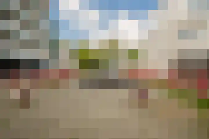Iepenlaan 6 F Spijkenisse thumbnail 32