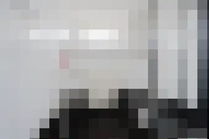 Iepenlaan 6 F Spijkenisse thumbnail 4