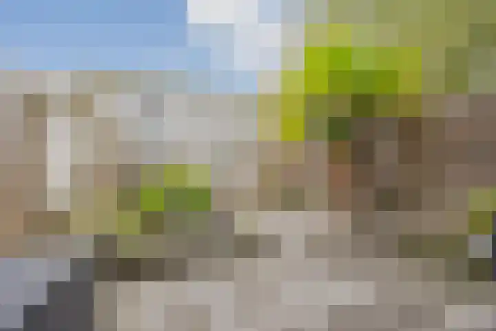Iepenlaan 6 F Spijkenisse thumbnail 5
