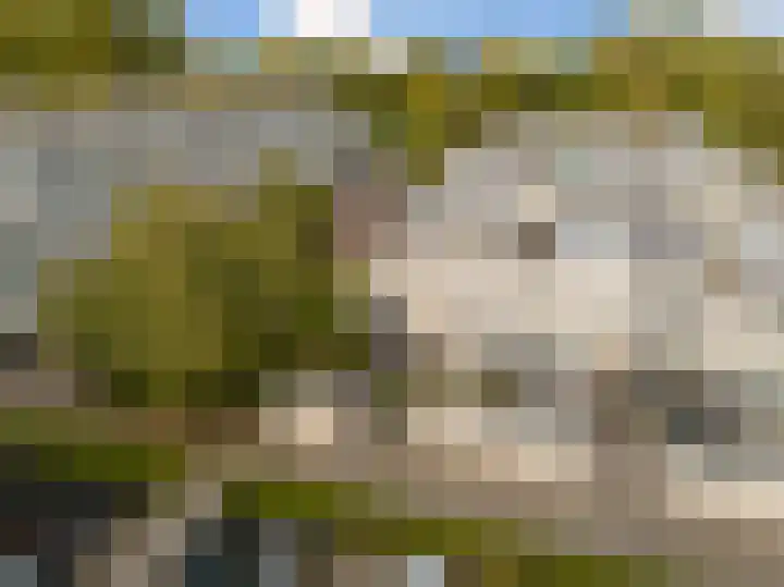 Iepenlaan 6 F Spijkenisse thumbnail 6
