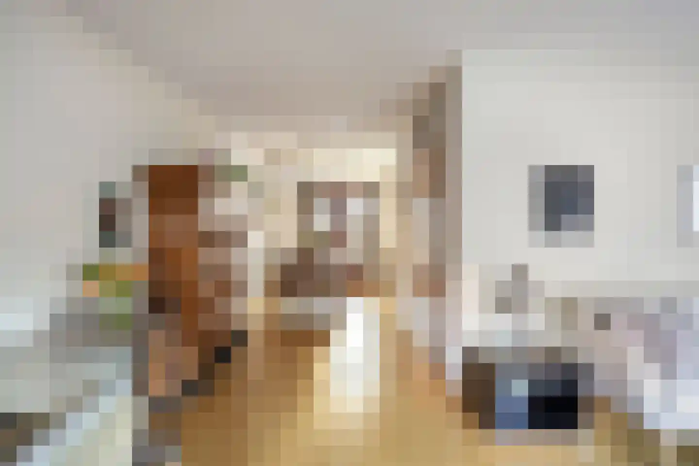 Iepenlaan 6 Made thumbnail 10