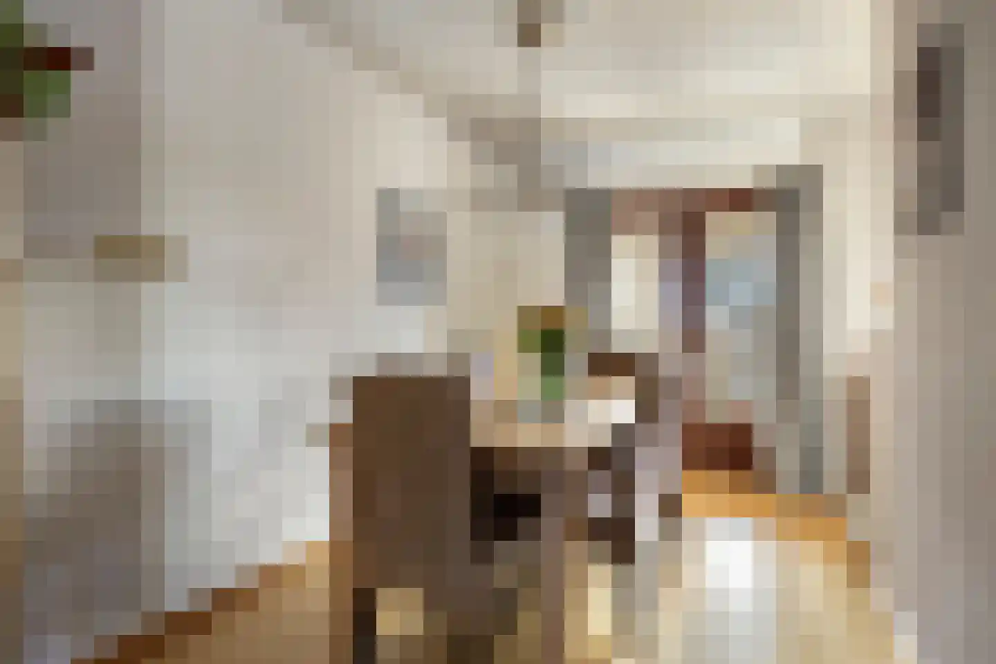 Iepenlaan 6 Made thumbnail 11