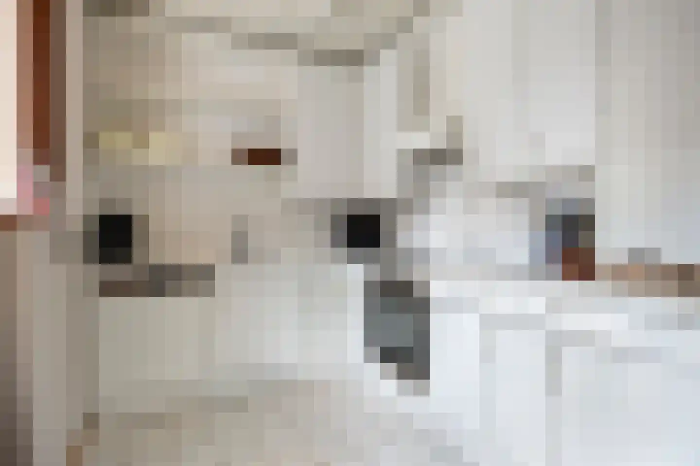 Iepenlaan 6 Made thumbnail 14