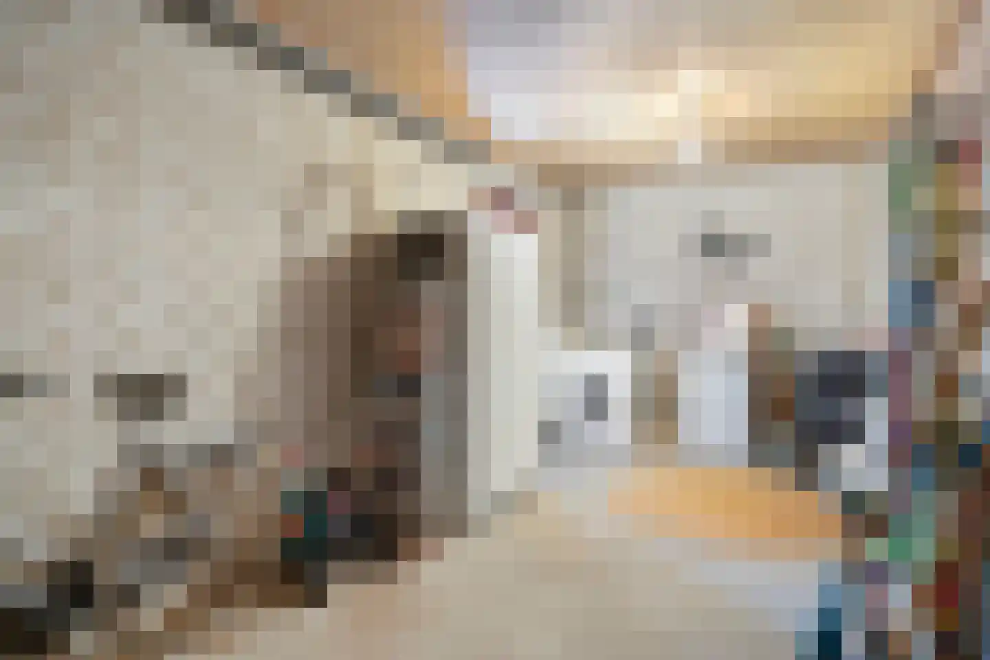 Iepenlaan 6 Made thumbnail 41