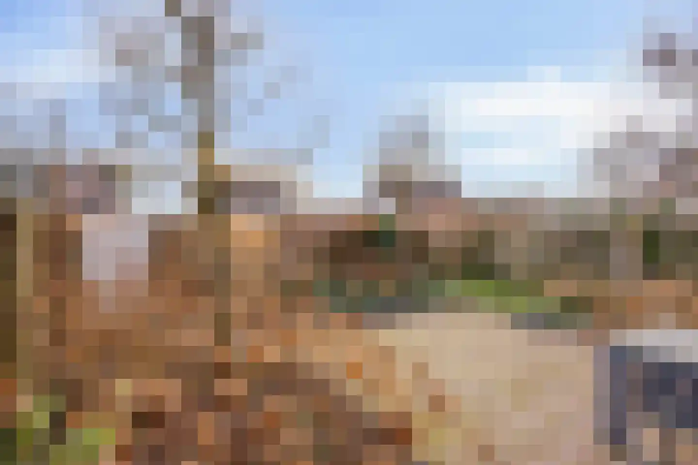 Iepenlaan 6 Made thumbnail 45