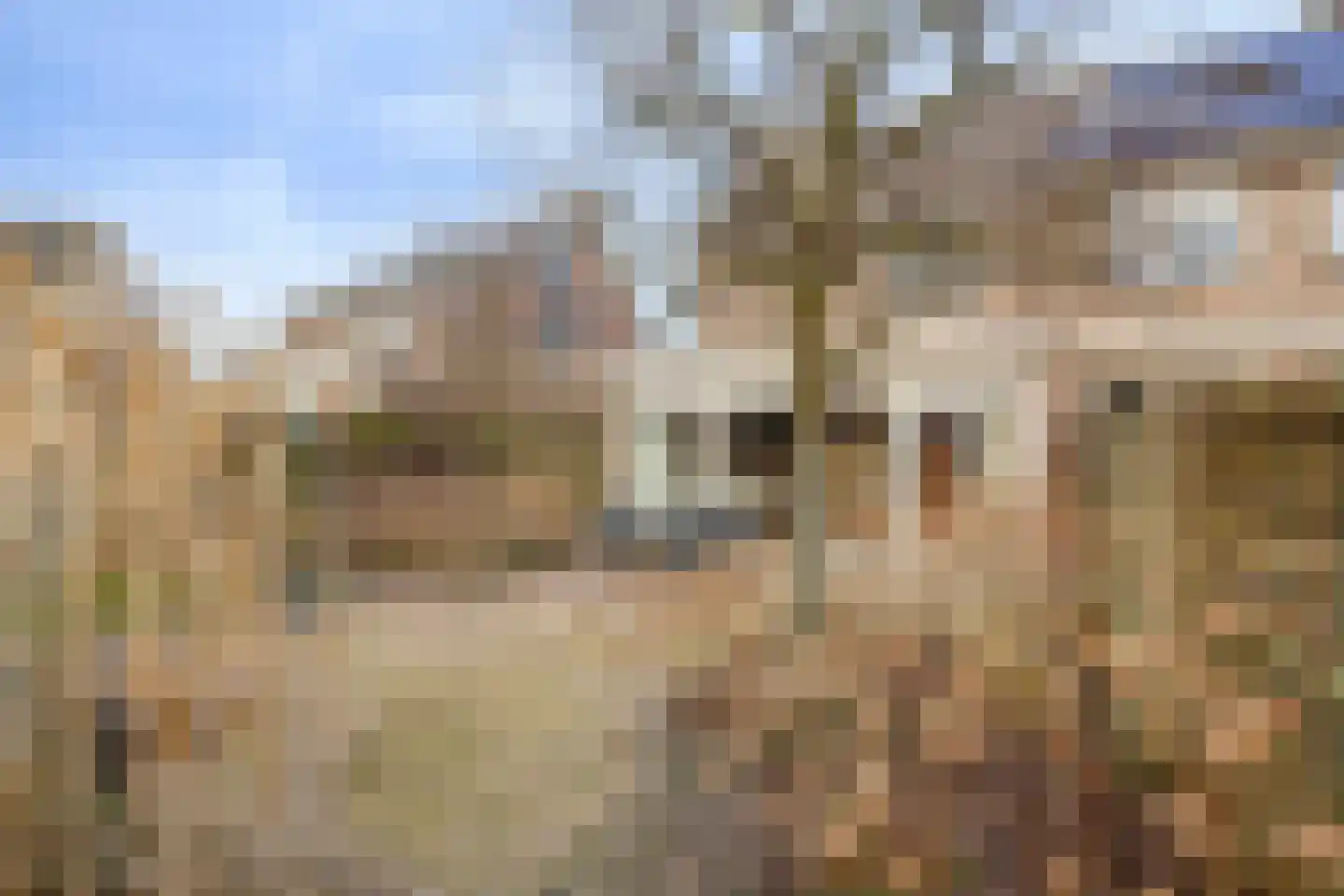 Iepenlaan 6 Made thumbnail 46