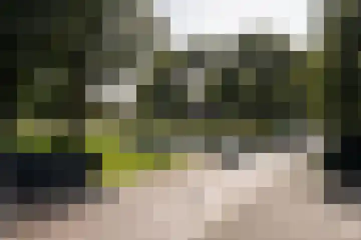 Iepenlaan 6 Stadskanaal thumbnail 21