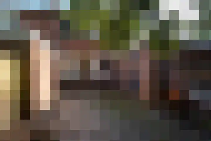 Iepenlaan 6 Stadskanaal thumbnail 28