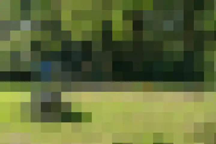 Iepenlaan 6 Stadskanaal thumbnail 31