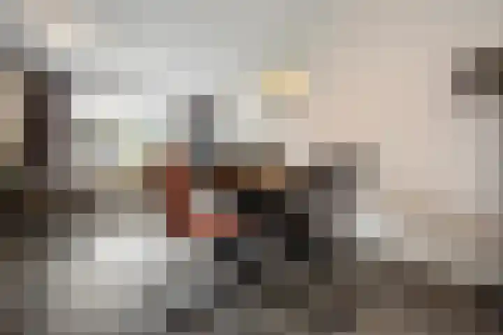 Iepenlaan 60 Duiven thumbnail 11