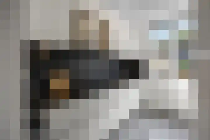 Iepenlaan 60 Duiven thumbnail 12
