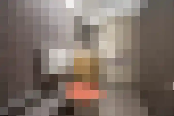 Iepenlaan 60 Duiven thumbnail 15