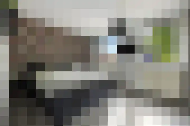 Iepenlaan 60 Duiven thumbnail 19