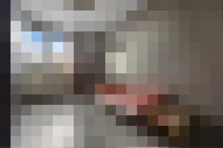 Iepenlaan 60 Duiven thumbnail 22
