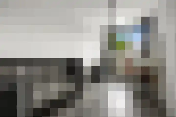 Iepenlaan 60 Duiven thumbnail 24