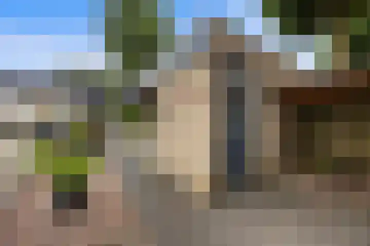 Iepenlaan 60 Duiven thumbnail 29