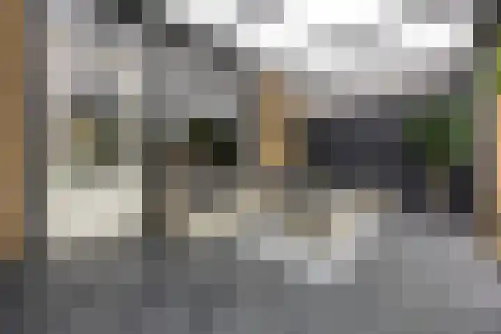 Iepenlaan 60 Duiven foto 3