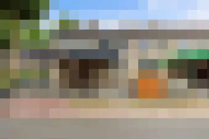 Iepenlaan 60 Duiven thumbnail 30