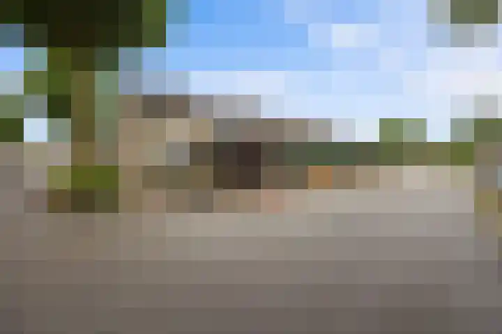 Iepenlaan 60 Duiven thumbnail 31