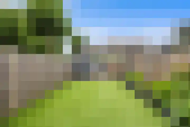 Iepenlaan 60 Duiven thumbnail 33