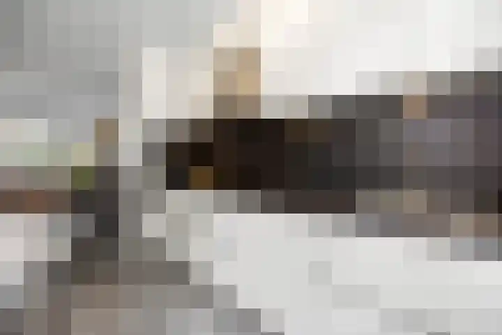 Iepenlaan 60 Duiven thumbnail 4