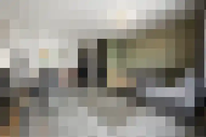 Iepenlaan 60 Duiven thumbnail 8