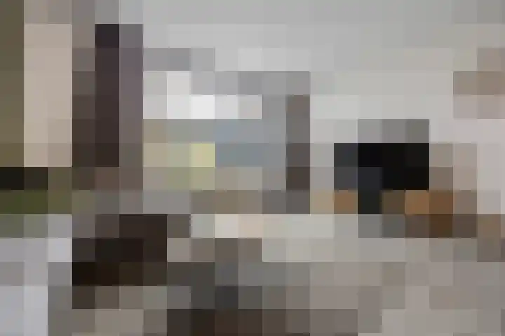 Iepenlaan 60 Duiven thumbnail 9