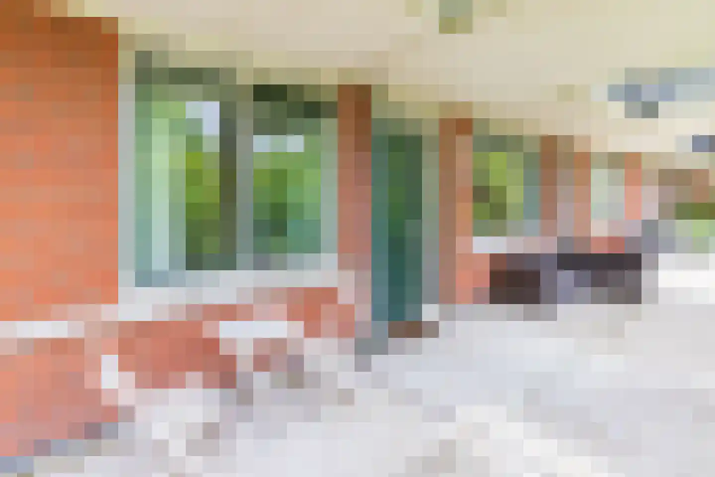 Iepenlaan 64 Alkmaar thumbnail 12