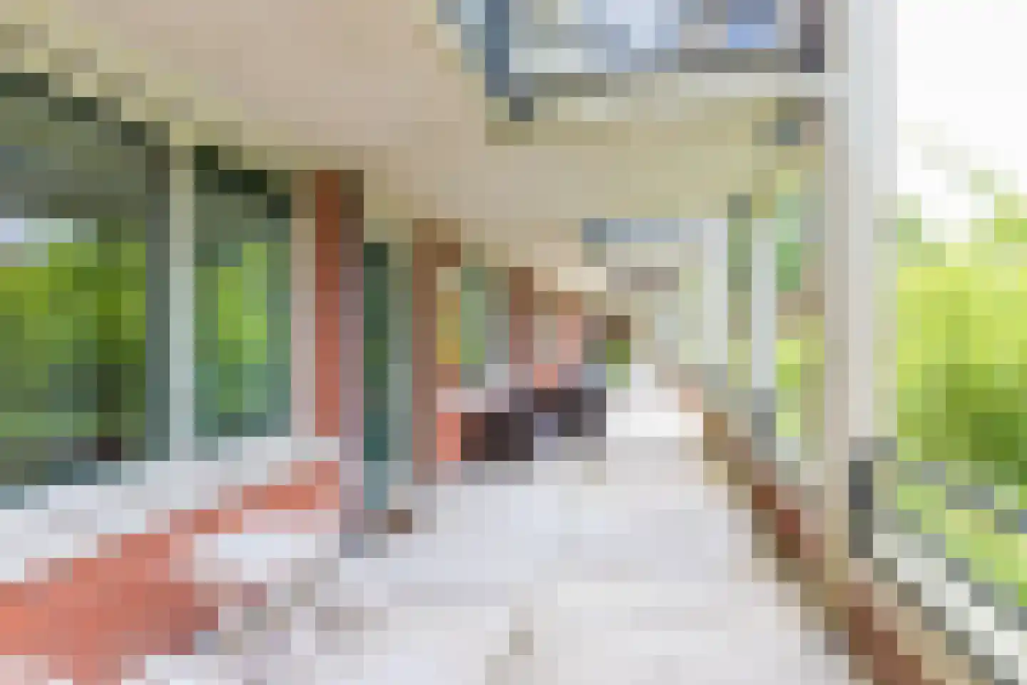 Iepenlaan 64 Alkmaar thumbnail 13
