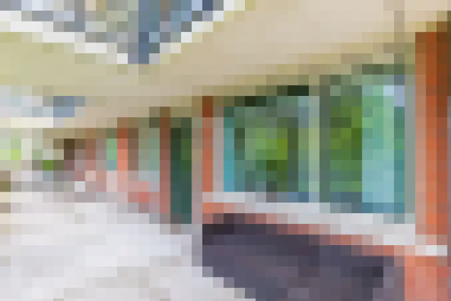 Iepenlaan 64 Alkmaar thumbnail 14