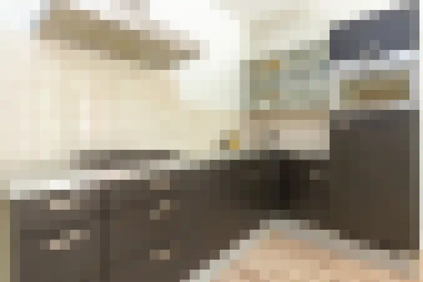 Iepenlaan 64 Alkmaar thumbnail 26