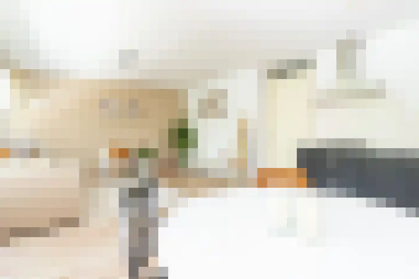 Iepenlaan 64 Alkmaar thumbnail 27