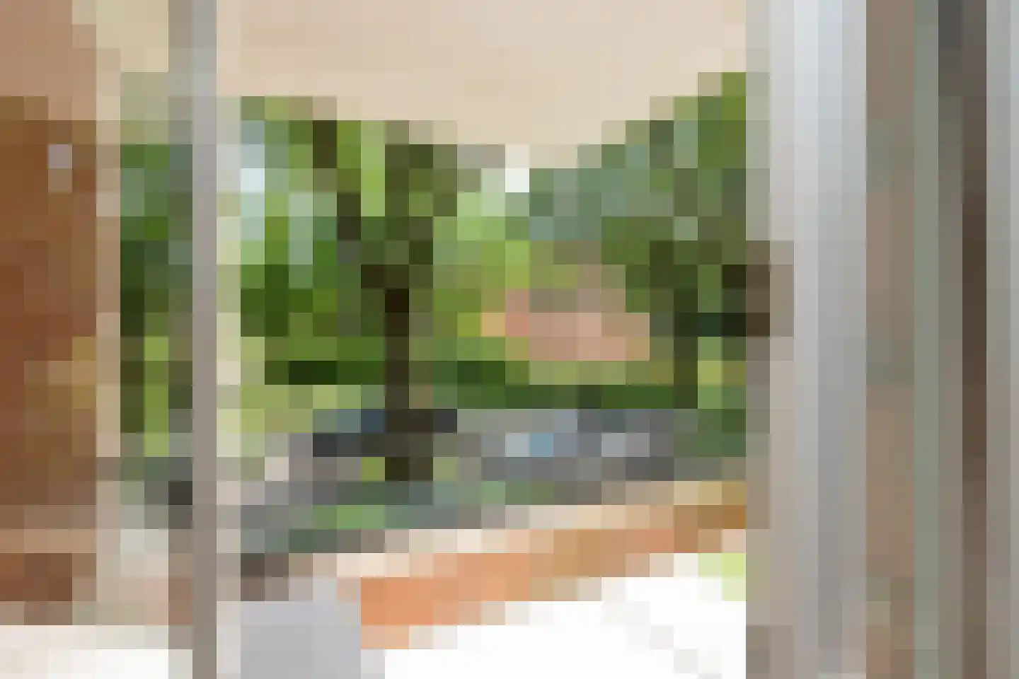 Iepenlaan 64 Alkmaar thumbnail 41
