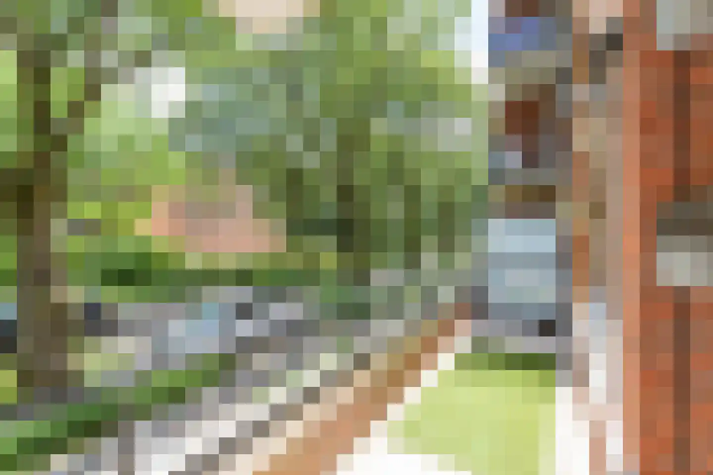 Iepenlaan 64 Alkmaar thumbnail 42