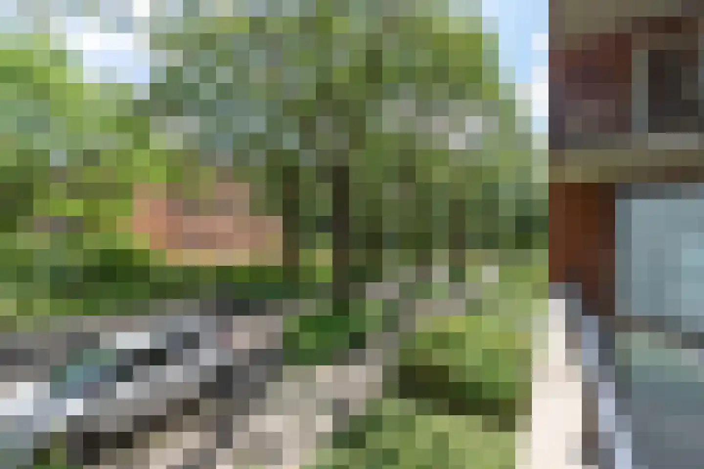 Iepenlaan 64 Alkmaar thumbnail 45