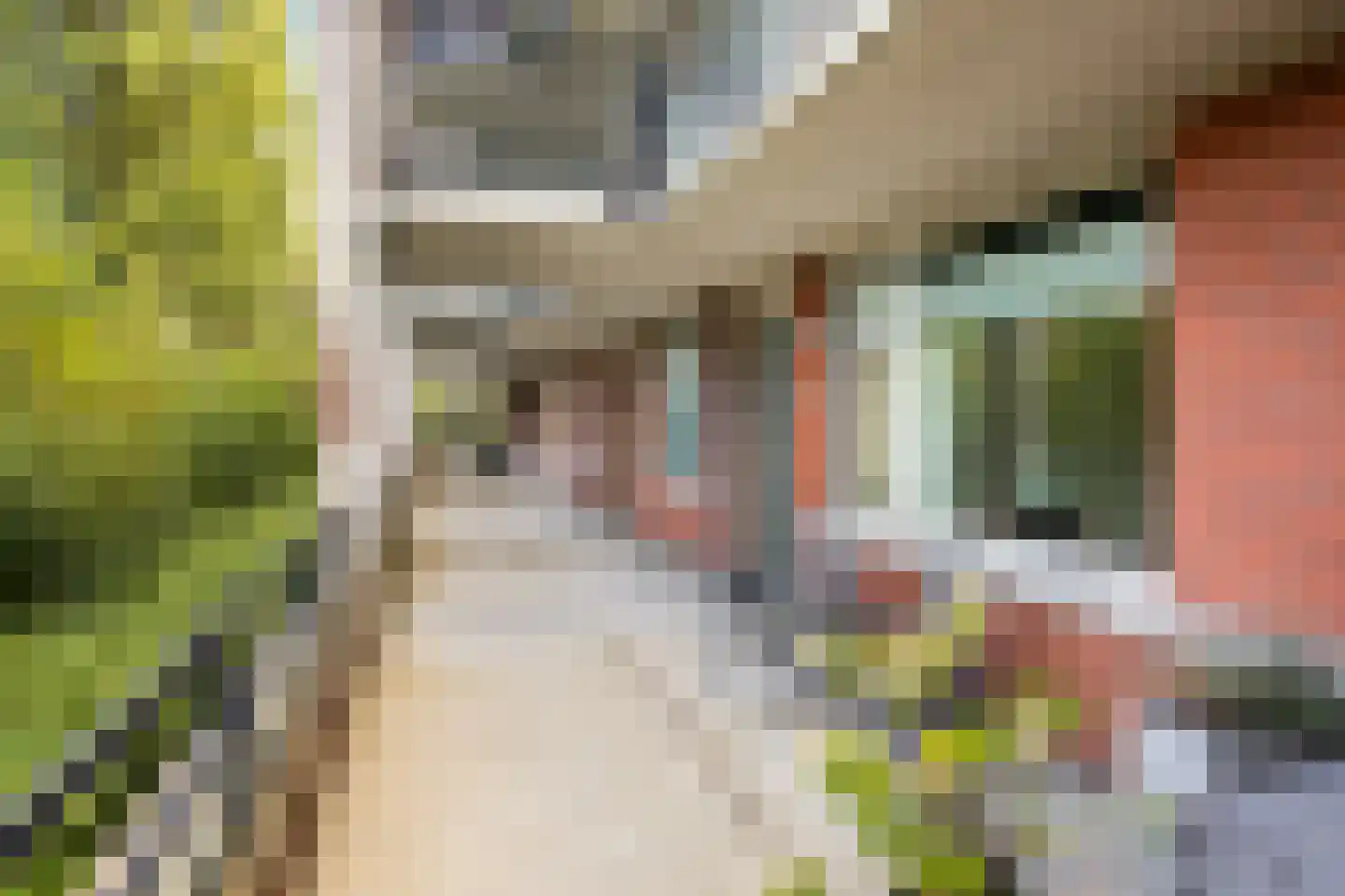 Iepenlaan 66 Alkmaar thumbnail 13