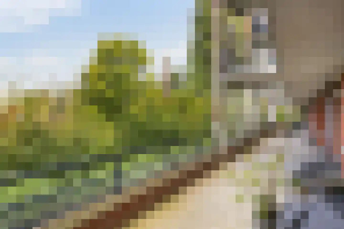 Iepenlaan 66 Alkmaar thumbnail 14