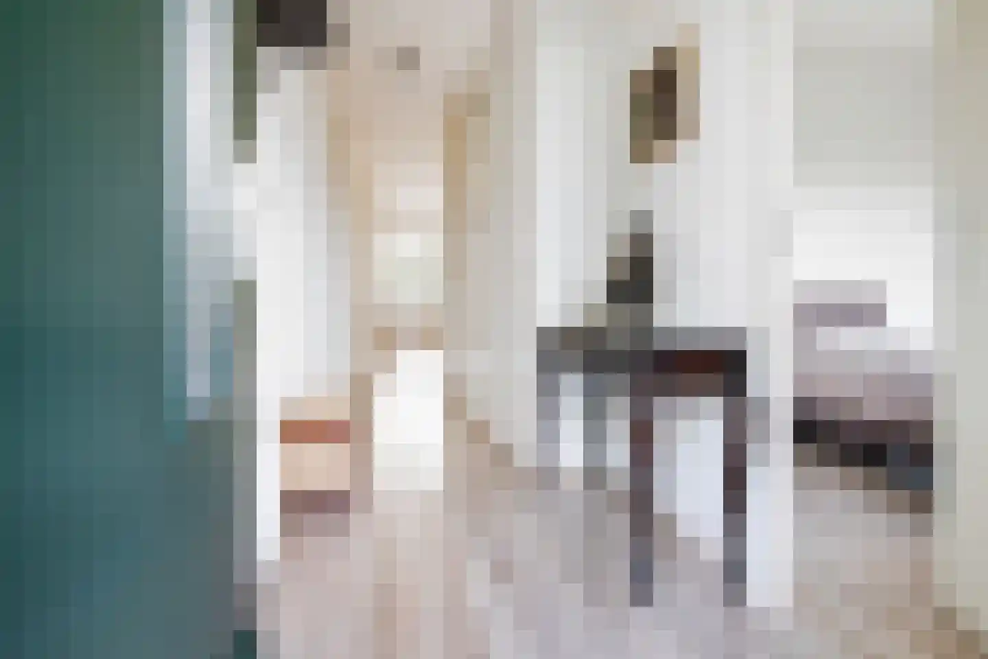 Iepenlaan 66 Alkmaar thumbnail 17