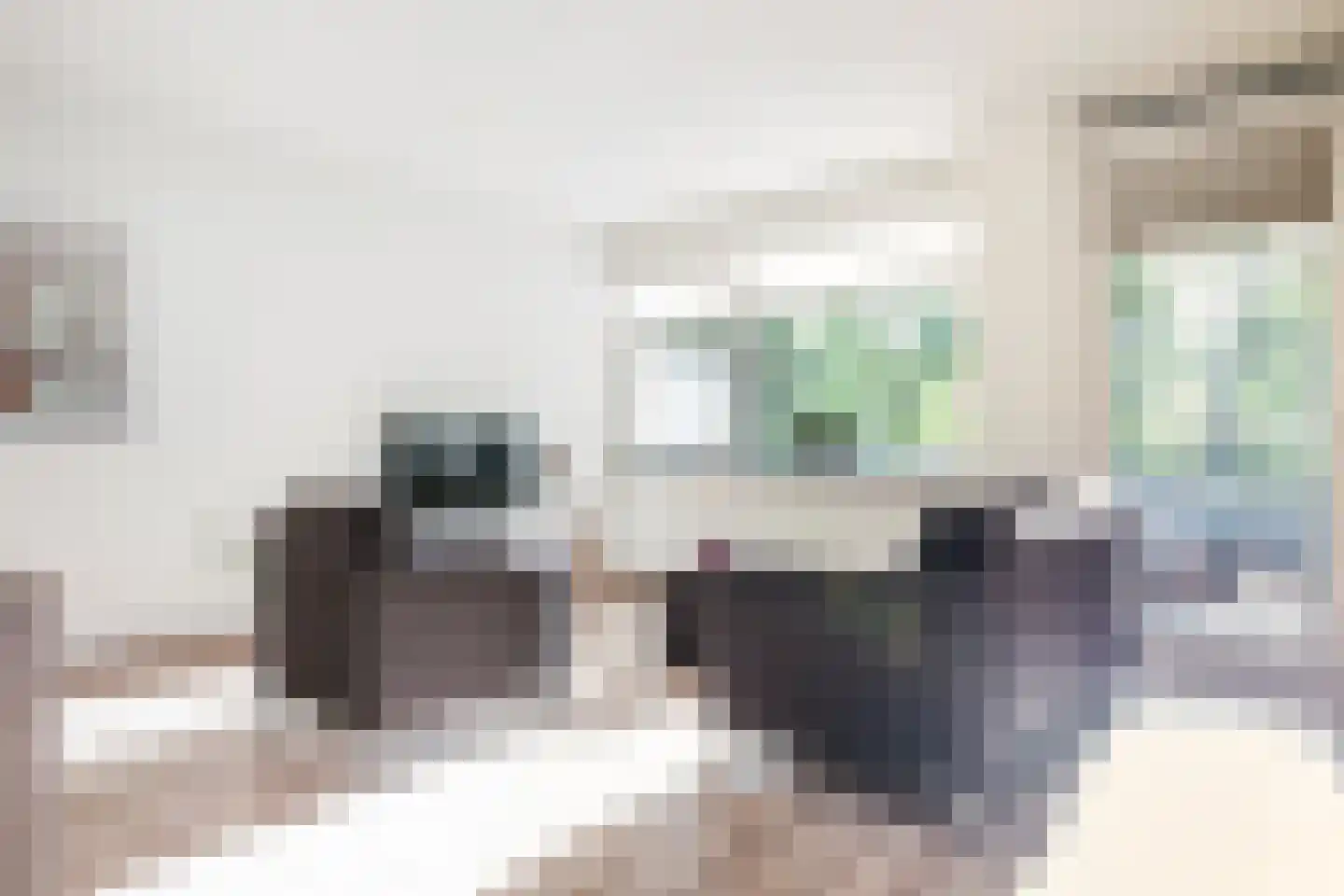 Iepenlaan 66 Alkmaar thumbnail 19